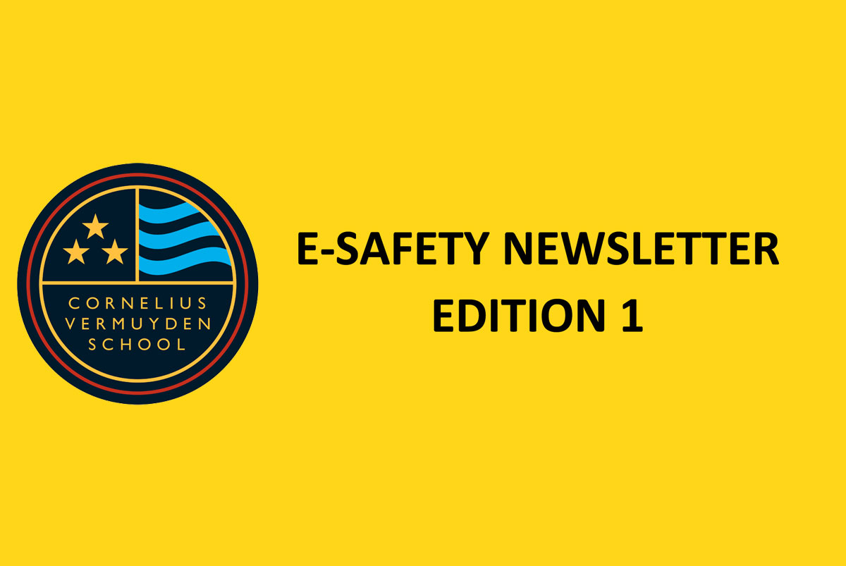 E-Safety Newsletter: Edition 1